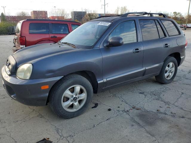 HYUNDAI SANTA FE 2005 km8sc73d15u873971