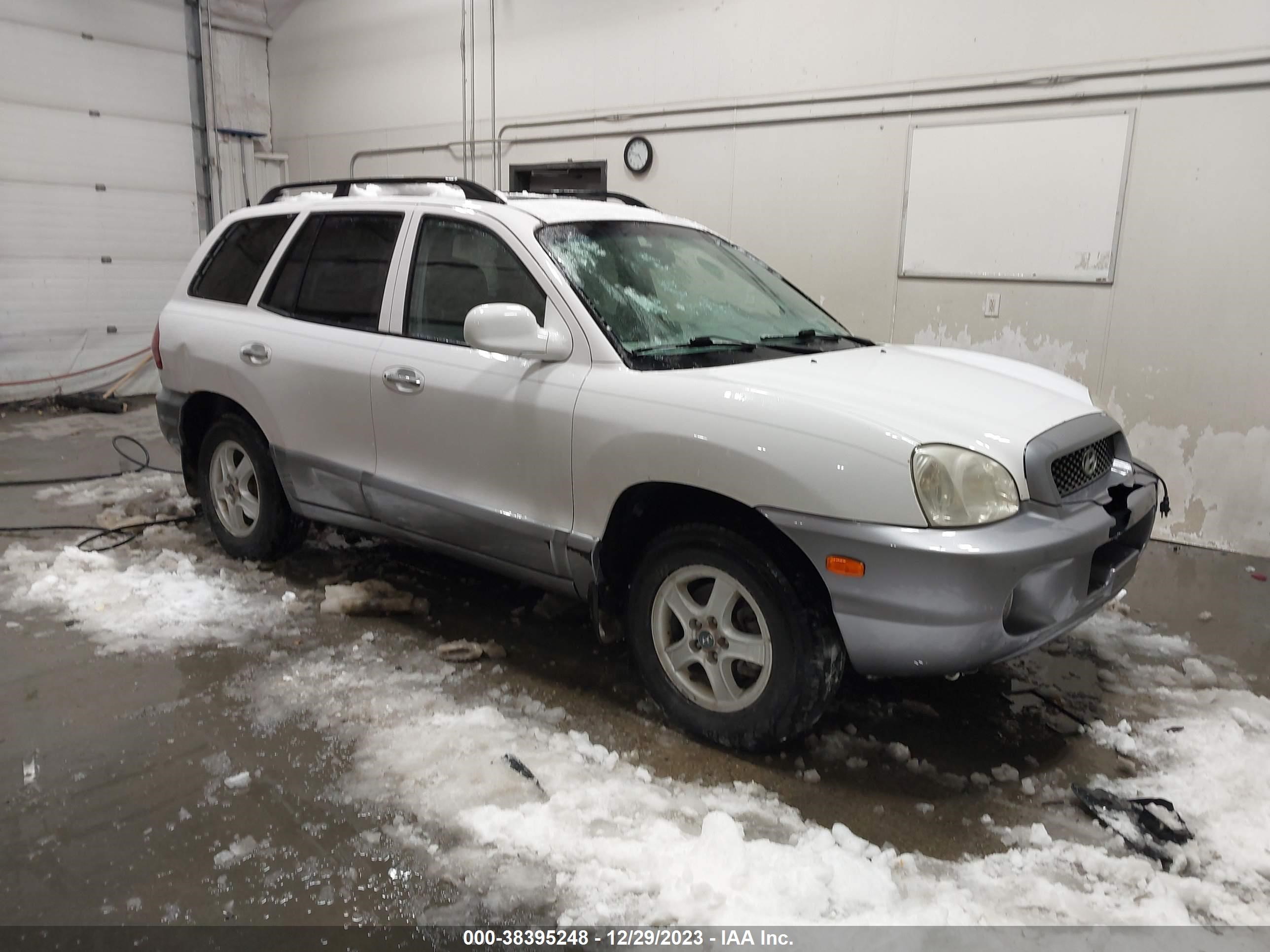 HYUNDAI SANTA FE 2003 km8sc73d23u407124