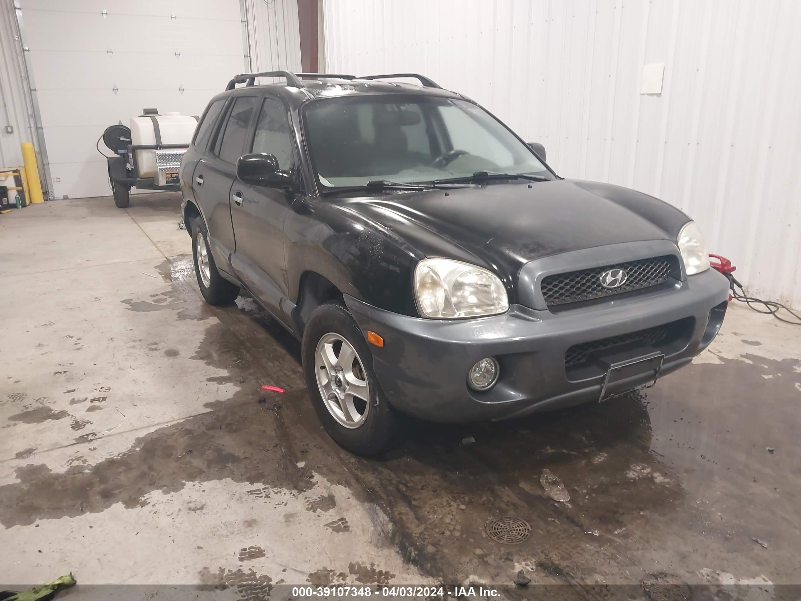 HYUNDAI SANTA FE 2003 km8sc73d23u480509