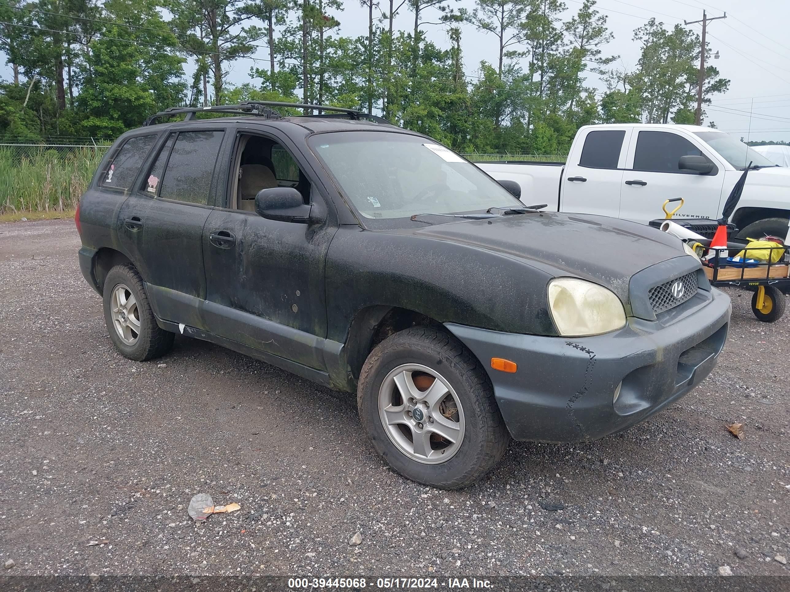 HYUNDAI SANTA FE 2004 km8sc73d34u611335