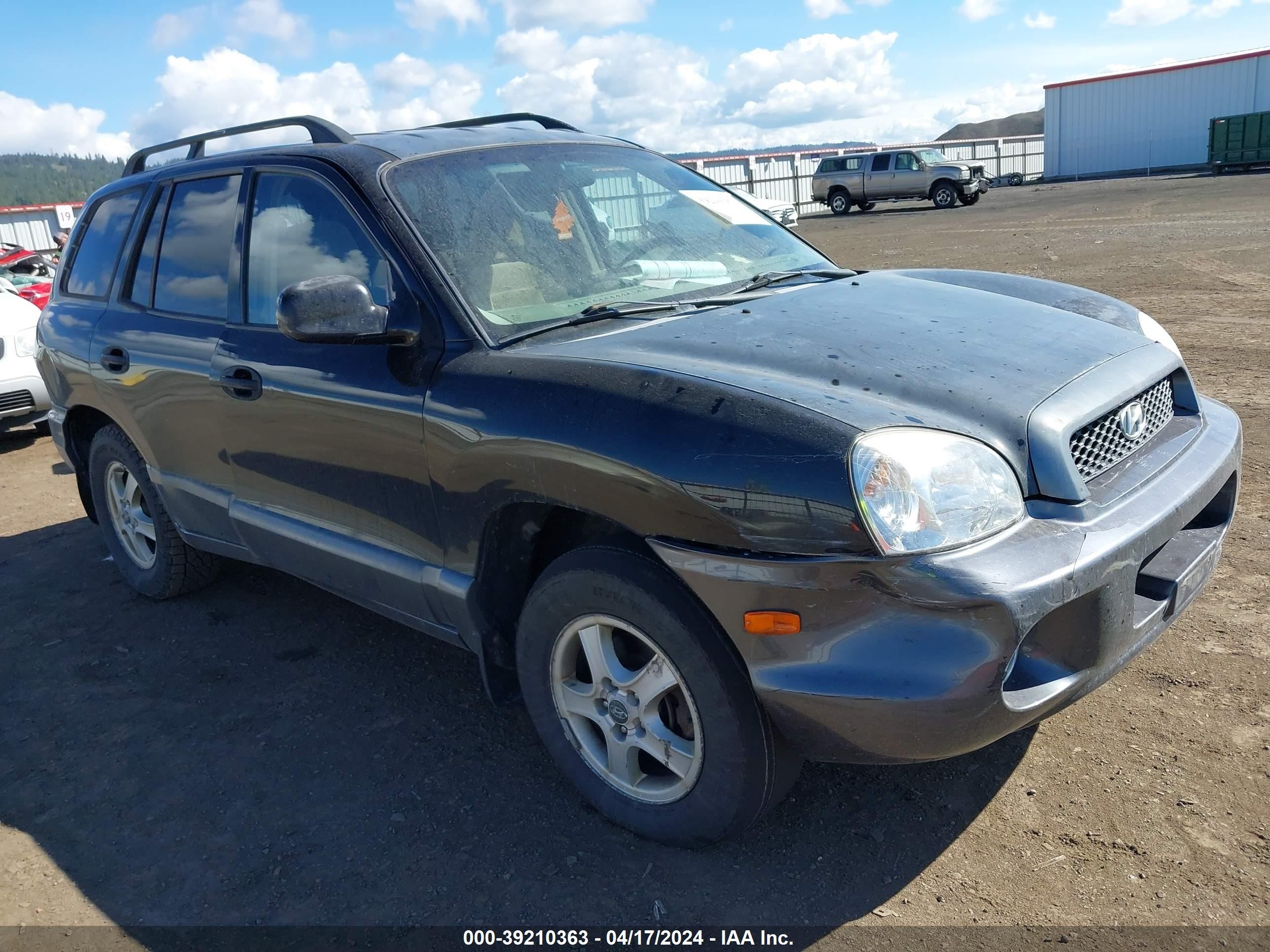 HYUNDAI SANTA FE 2004 km8sc73d34u625834