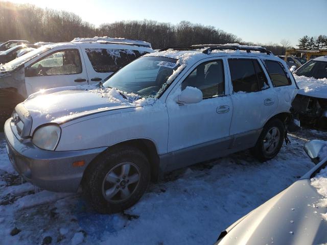 HYUNDAI SANTA FE 2005 km8sc73d35u961078