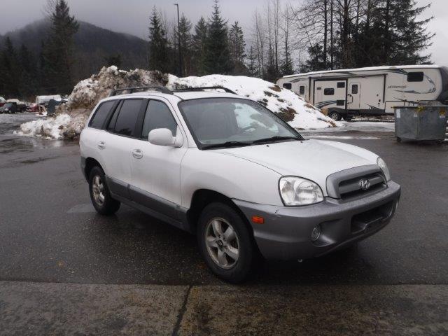 HYUNDAI SANTA FE G 2006 km8sc73d36u099692