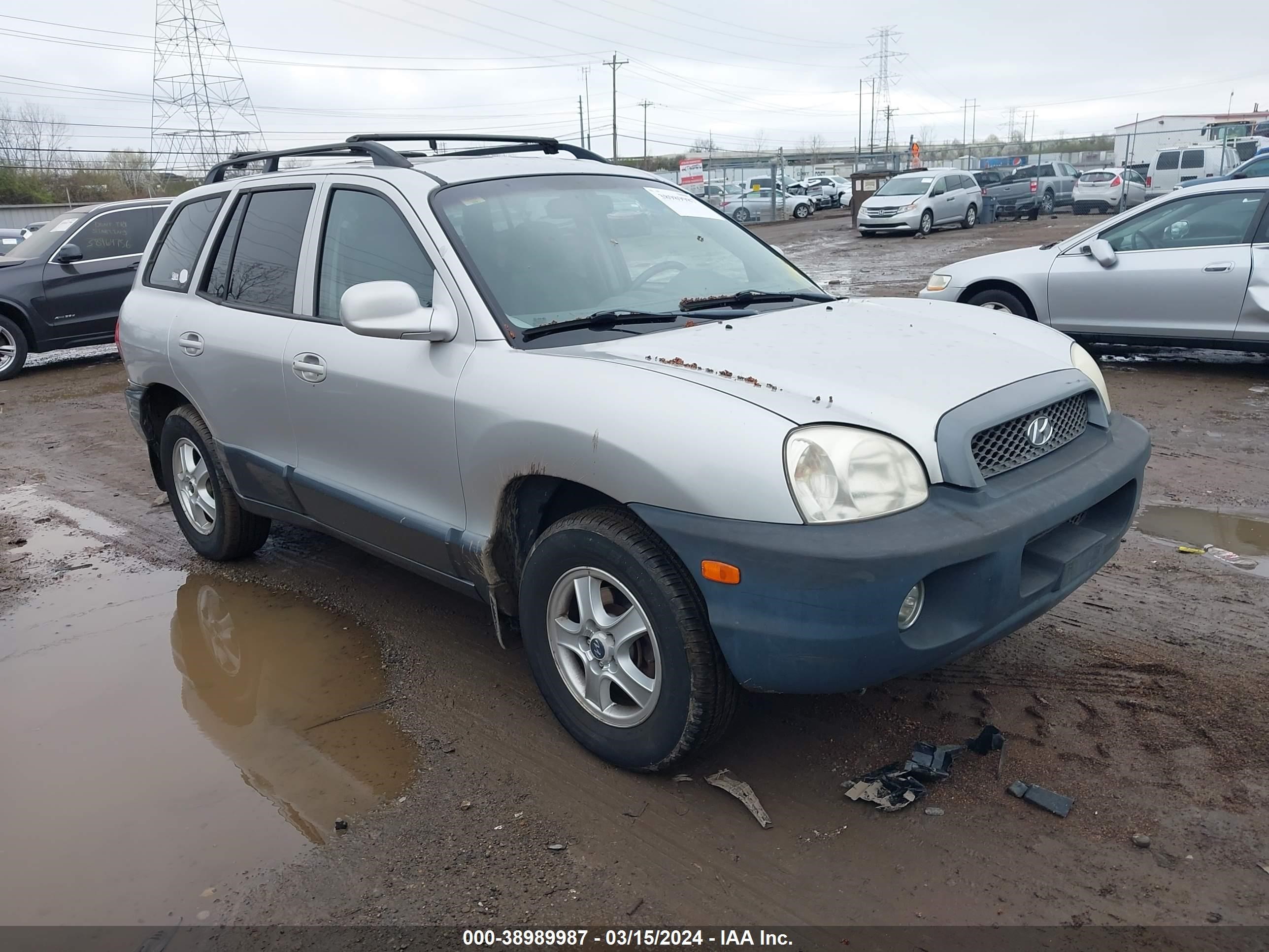 HYUNDAI SANTA FE 2003 km8sc73d43u379245