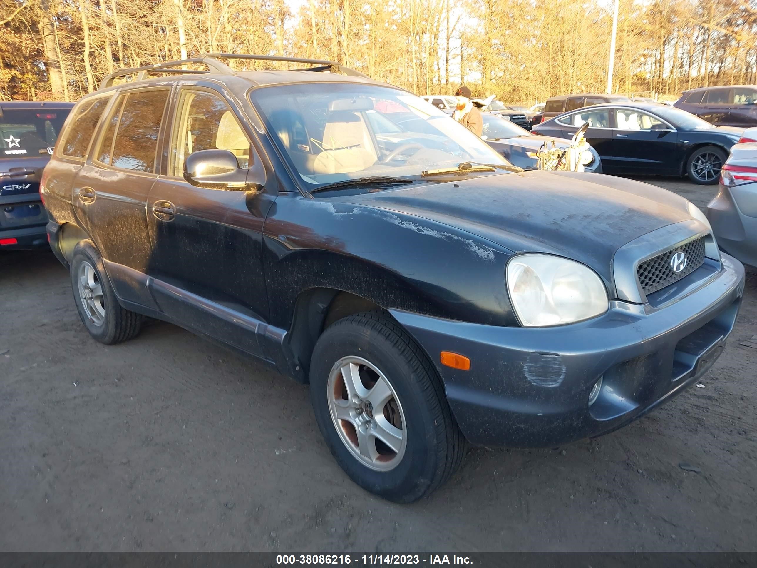 HYUNDAI SANTA FE 2004 km8sc73d44u740328