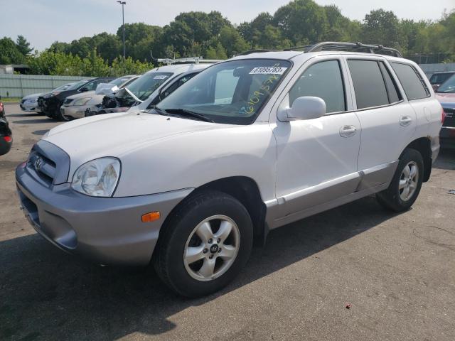 HYUNDAI SANTA FE 2005 km8sc73d45u005480