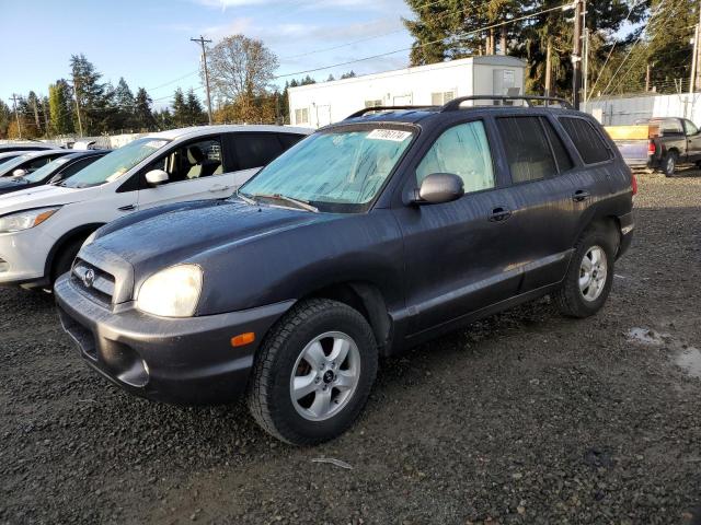 HYUNDAI SANTA FE G 2005 km8sc73d45u987706