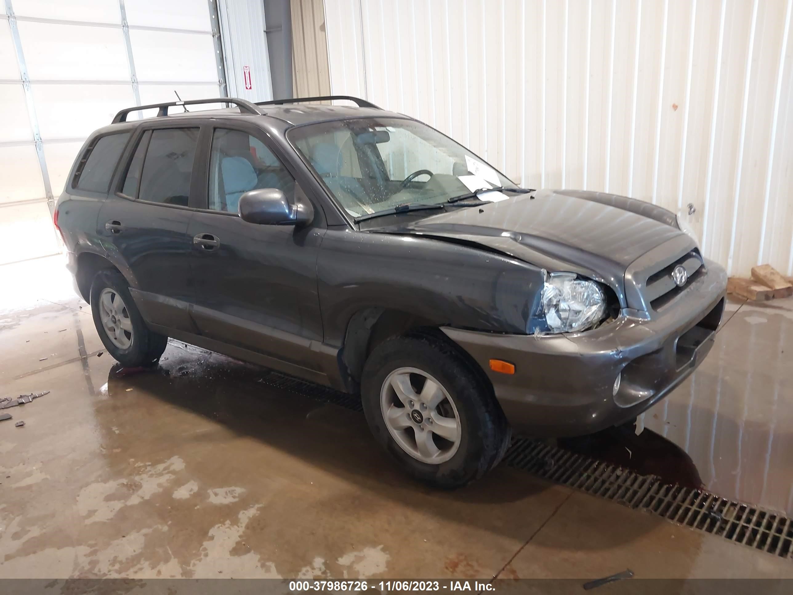 HYUNDAI SANTA FE 2006 km8sc73d46u058598