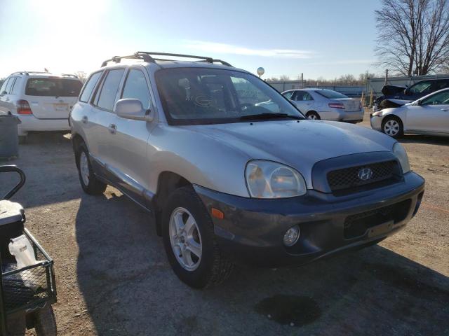 HYUNDAI SANTA FE 2002 km8sc73d52u324690