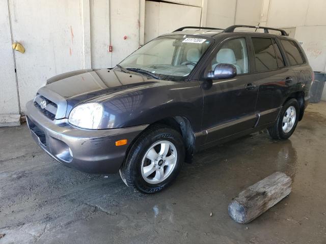 HYUNDAI SANTA FE 2006 km8sc73d56u036464