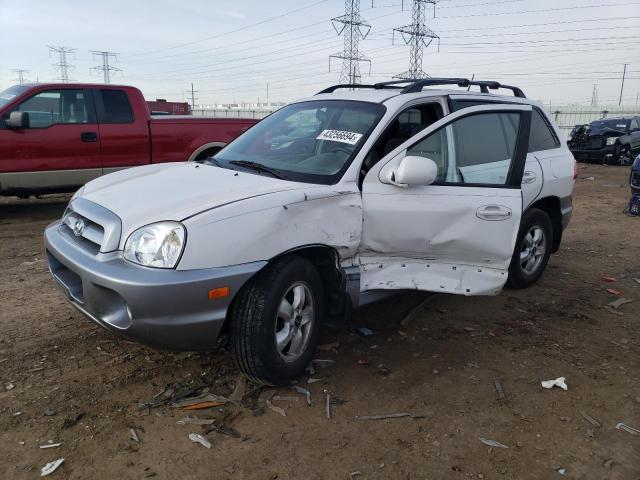 HYUNDAI SANTA FE 2006 km8sc73d56u097183