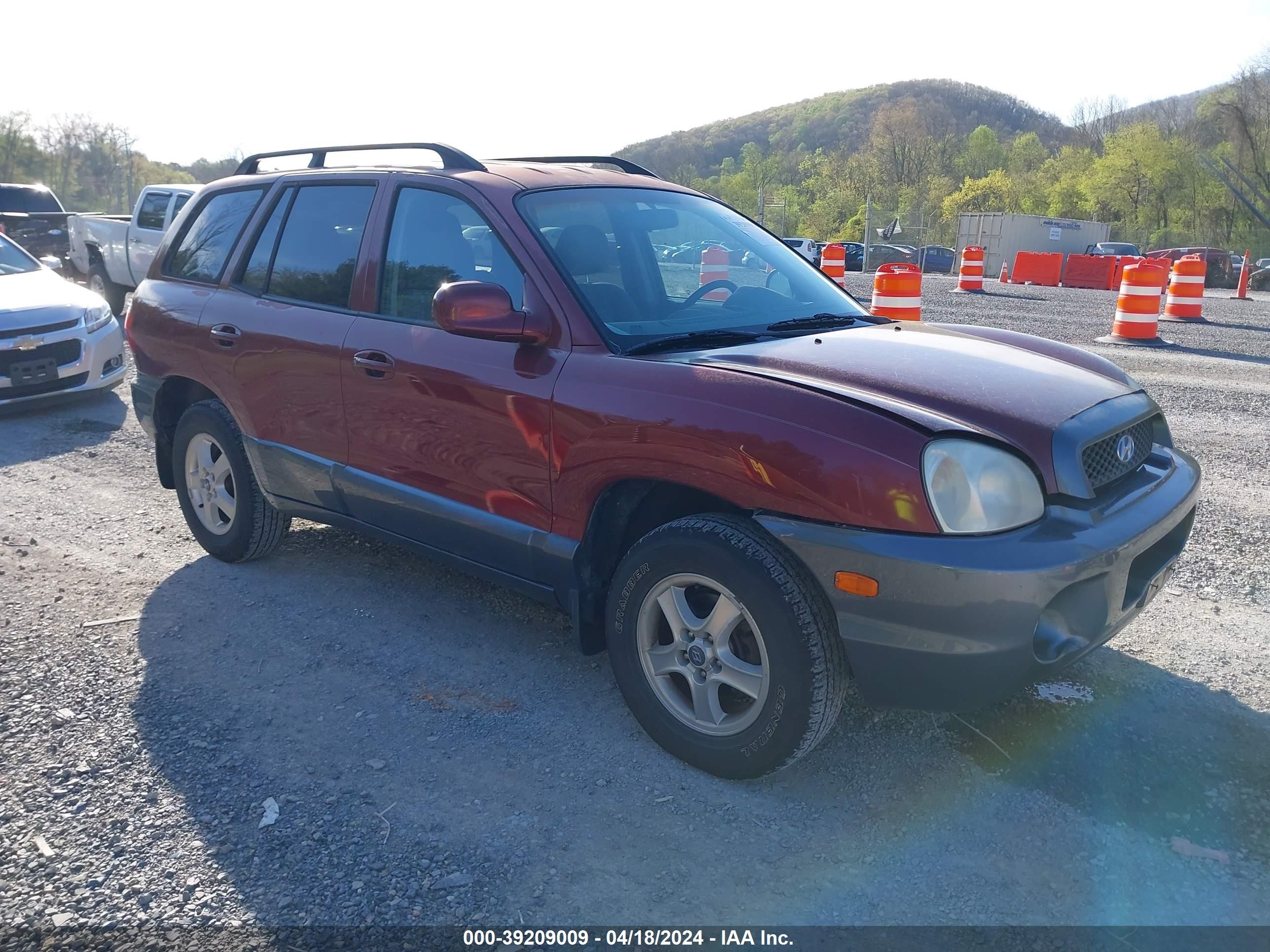 HYUNDAI SANTA FE 2003 km8sc73d63u397939