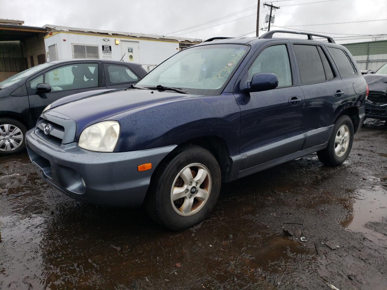 HYUNDAI SANTA FE 2005 km8sc73d65u914501