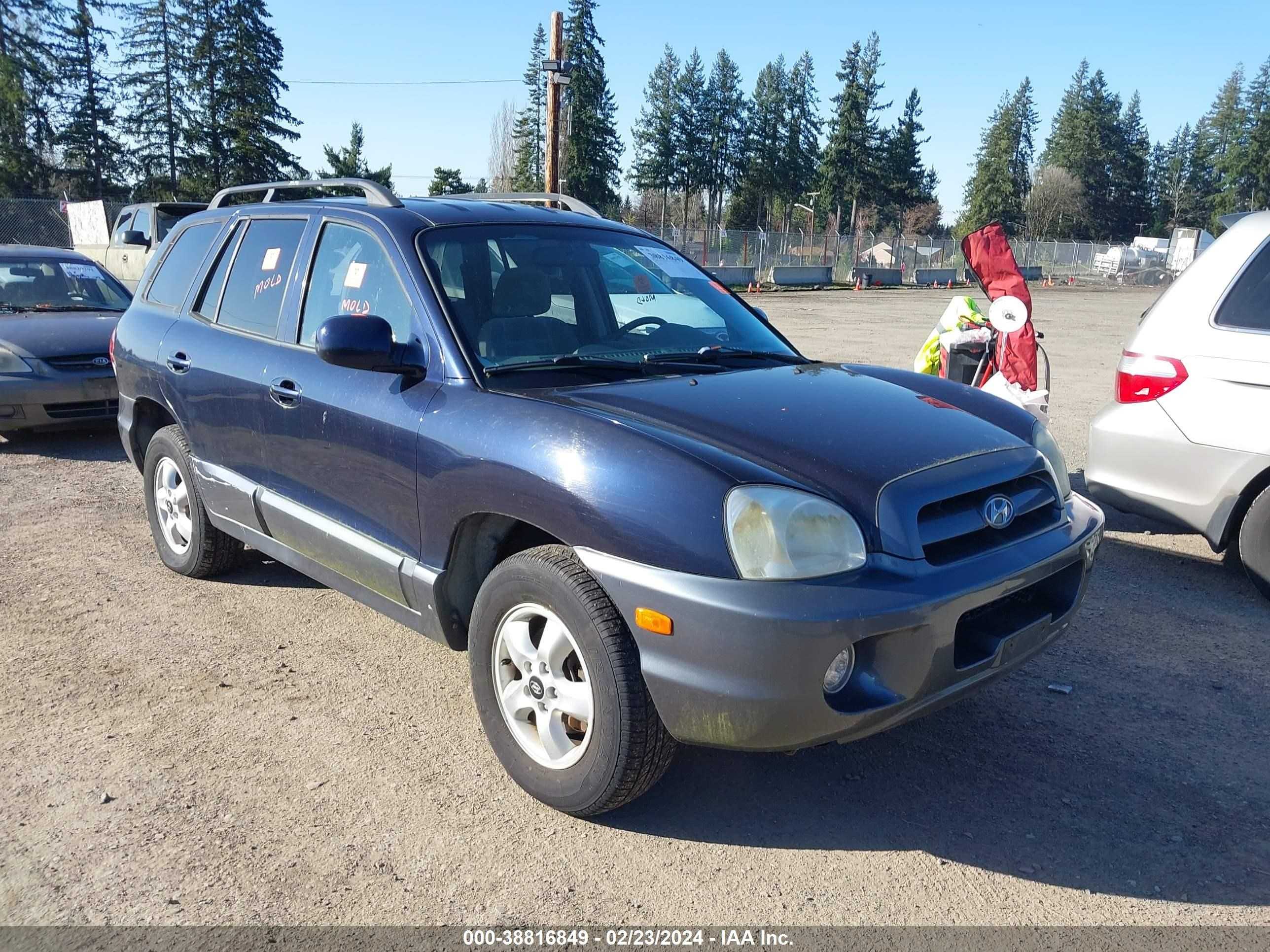 HYUNDAI SANTA FE 2005 km8sc73d65u953766