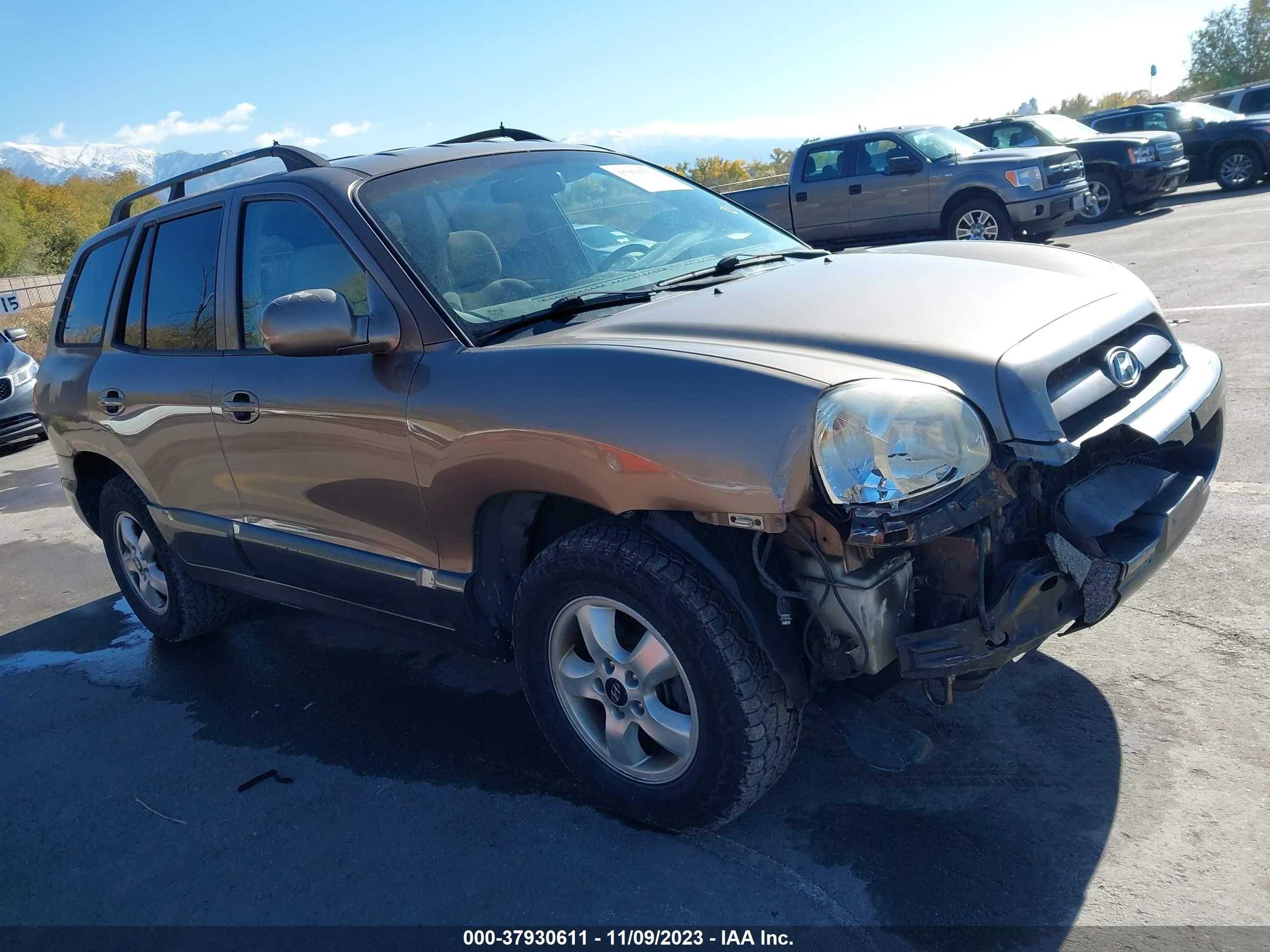 HYUNDAI SANTA FE 2005 km8sc73d65u975248