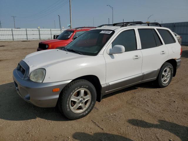 HYUNDAI SANTA FE G 2003 km8sc73d73u471997