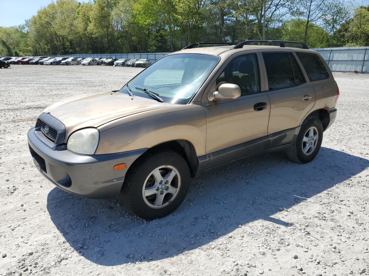 HYUNDAI SANTA FE 2004 km8sc73d74u578274