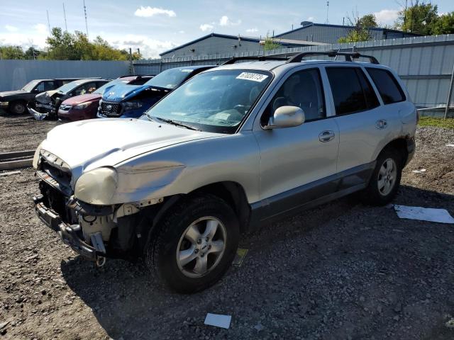 HYUNDAI SANTA FE 2005 km8sc73d75u967479