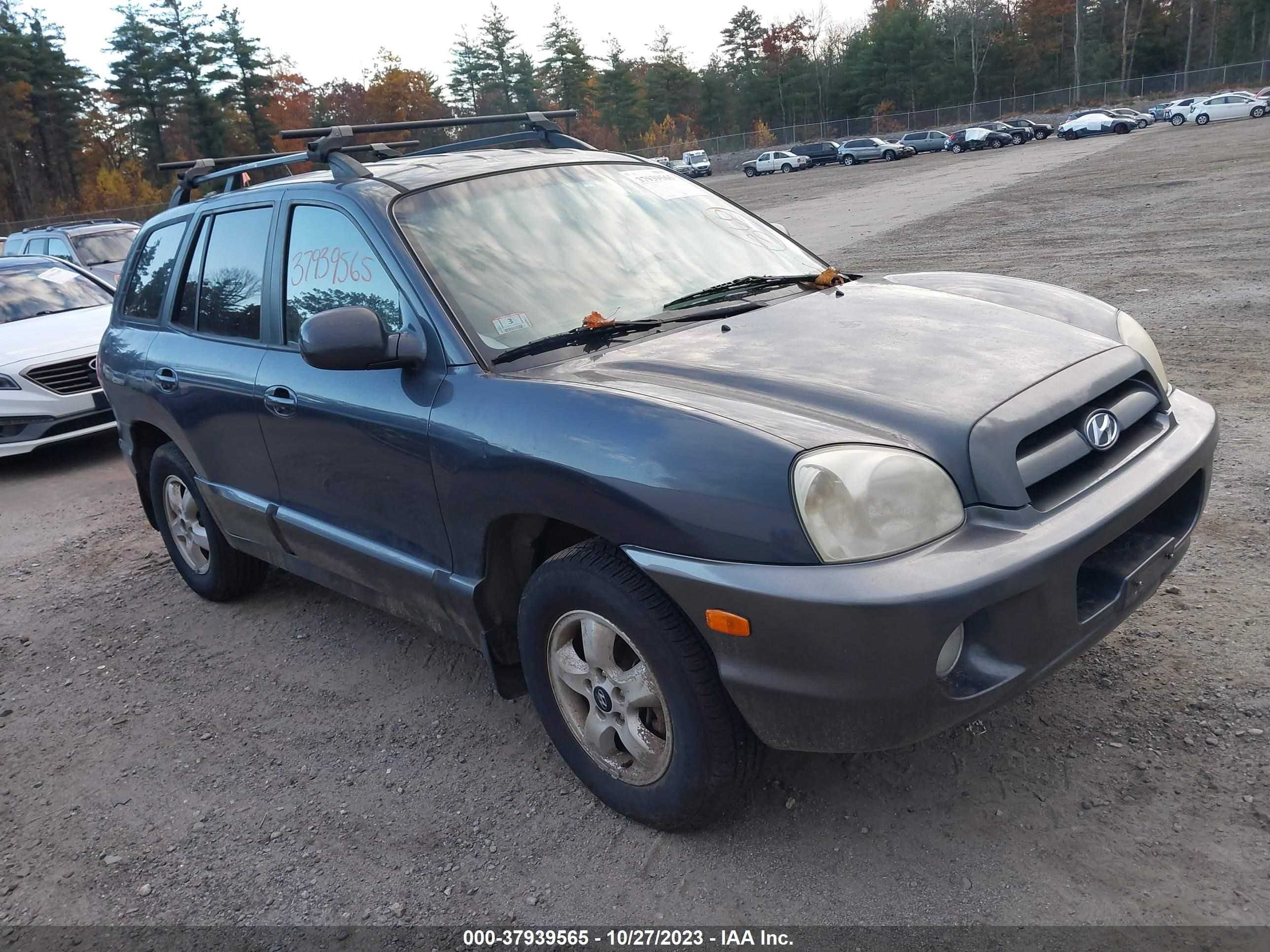 HYUNDAI SANTA FE 2006 km8sc73d76u050558