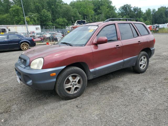 HYUNDAI SANTA FE 2004 km8sc73d94u843910