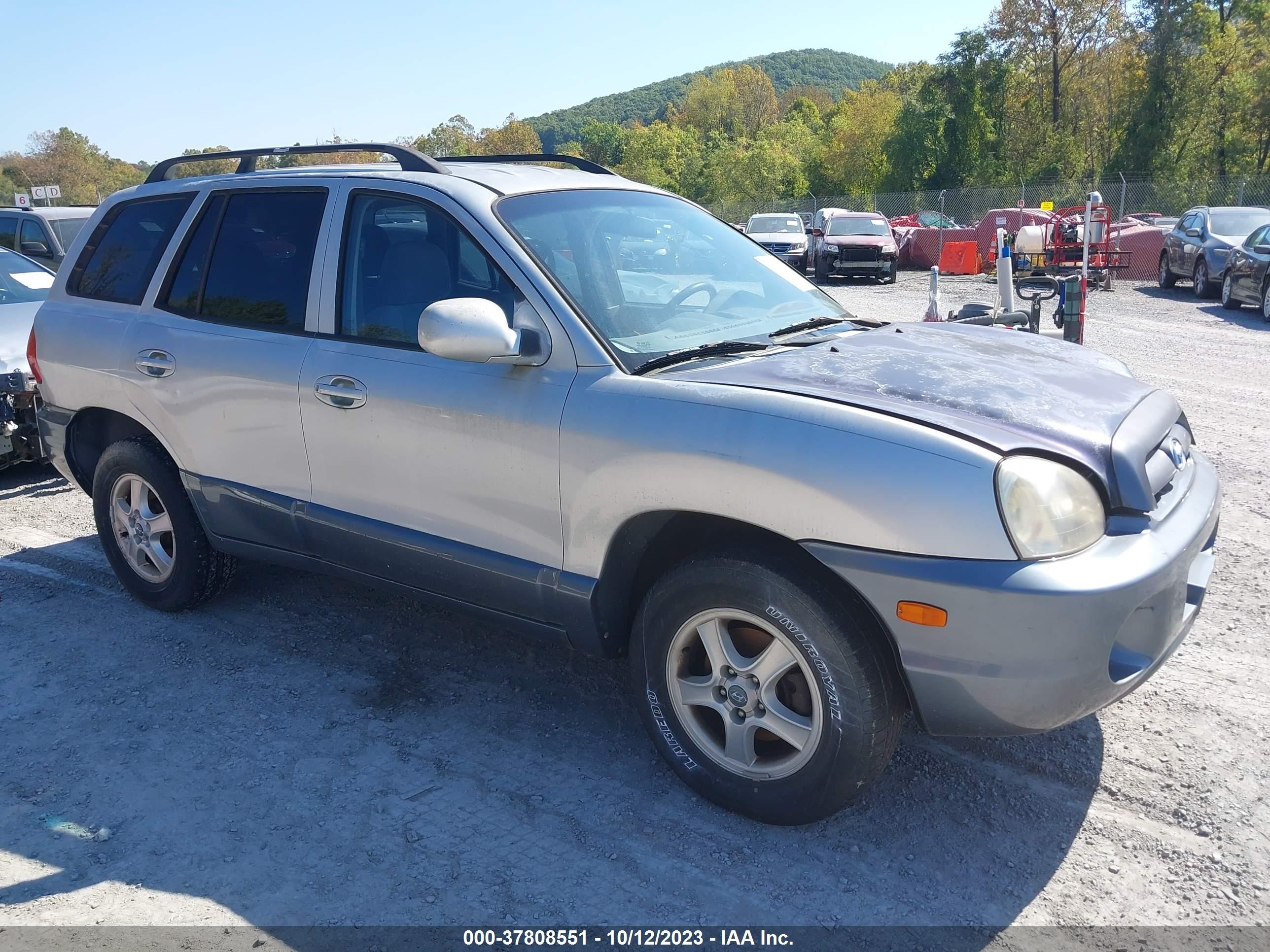 HYUNDAI SANTA FE 2004 km8sc73d94u848749