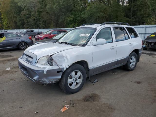 HYUNDAI SANTA FE 2005 km8sc73d95u004339