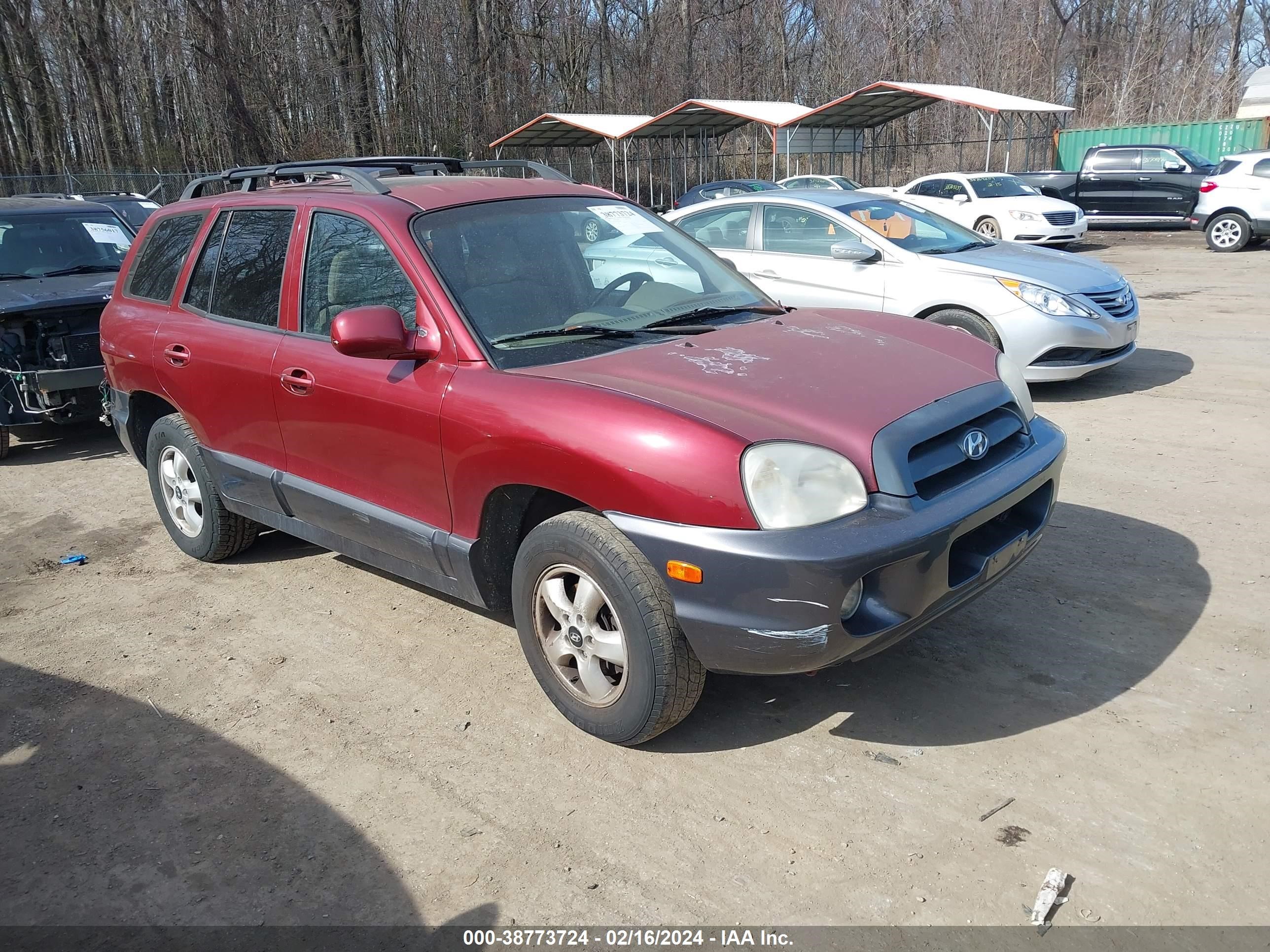 HYUNDAI SANTA FE 2005 km8sc73e05u896893