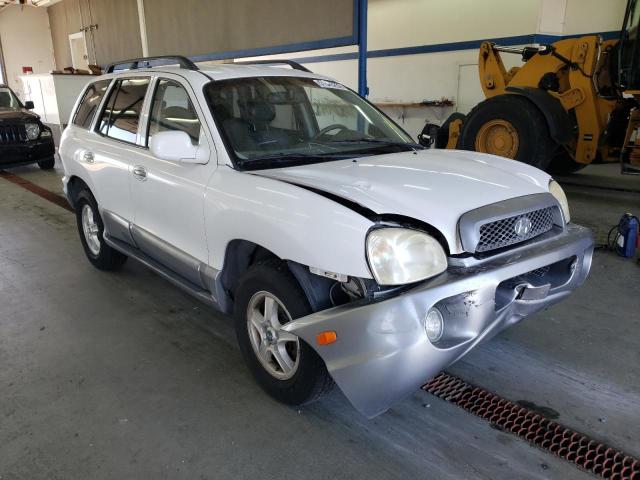 HYUNDAI SANTA FE G 2003 km8sc73e23u521343