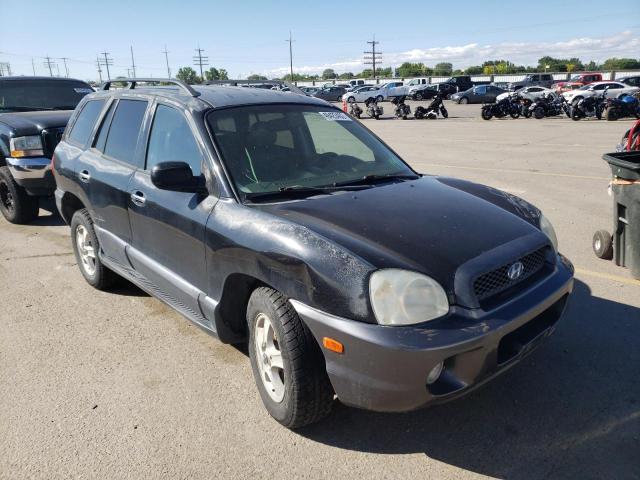 HYUNDAI SANTA FE G 2003 km8sc73e23u538370