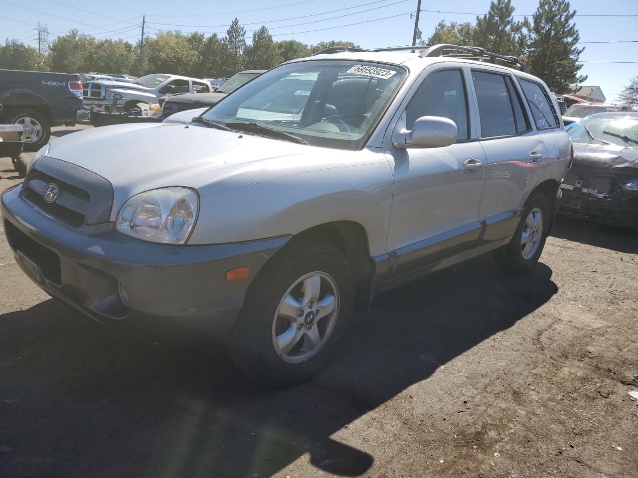 HYUNDAI SANTA FE 2005 km8sc73e25u994453