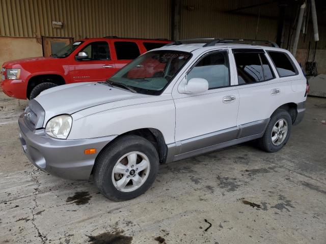 HYUNDAI SANTA FE 2005 km8sc73e25u999670