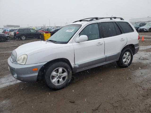 HYUNDAI SANTA FE 2006 km8sc73e26u039489