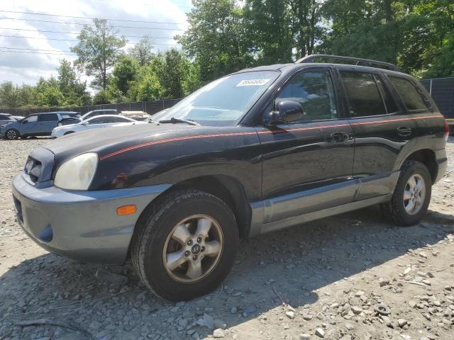 HYUNDAI SANTA FE 2005 km8sc73e55u898459