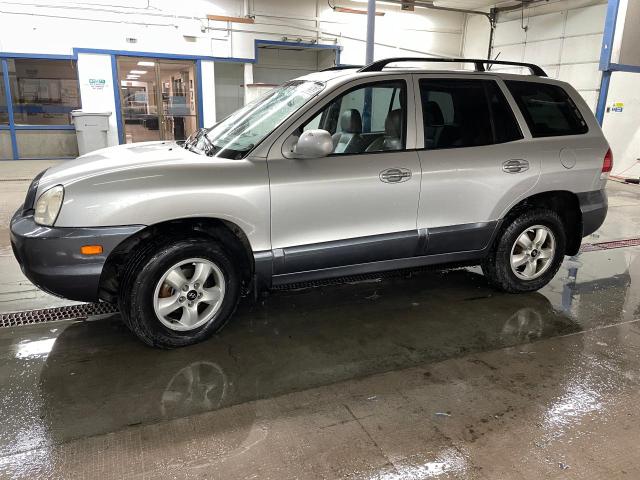 HYUNDAI SANTA FE 2005 km8sc73e55u982412