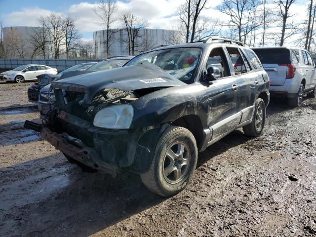 HYUNDAI SANTA FE 2004 km8sc73e64u593194