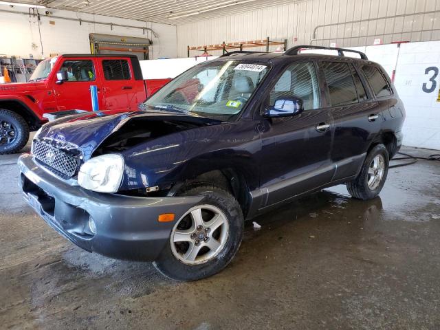 HYUNDAI SANTA FE 2004 km8sc73e64u828435