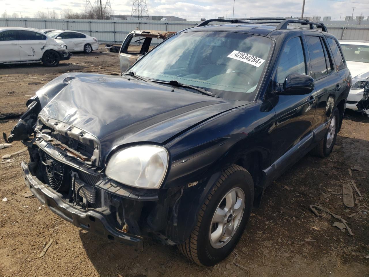 HYUNDAI SANTA FE 2005 km8sc73e65u883243