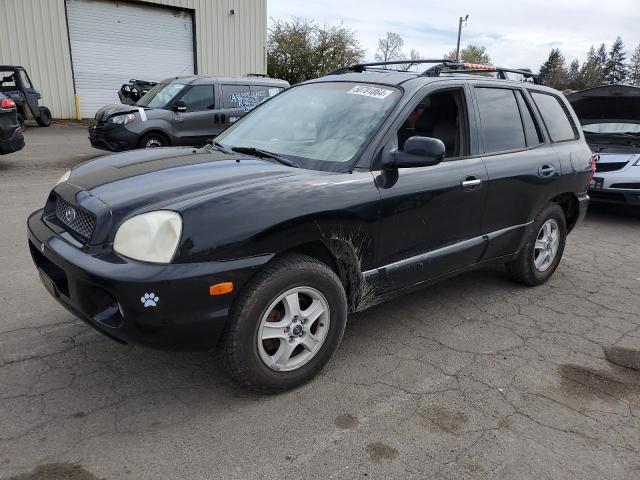 HYUNDAI SANTA FE 2004 km8sc73e74u579885