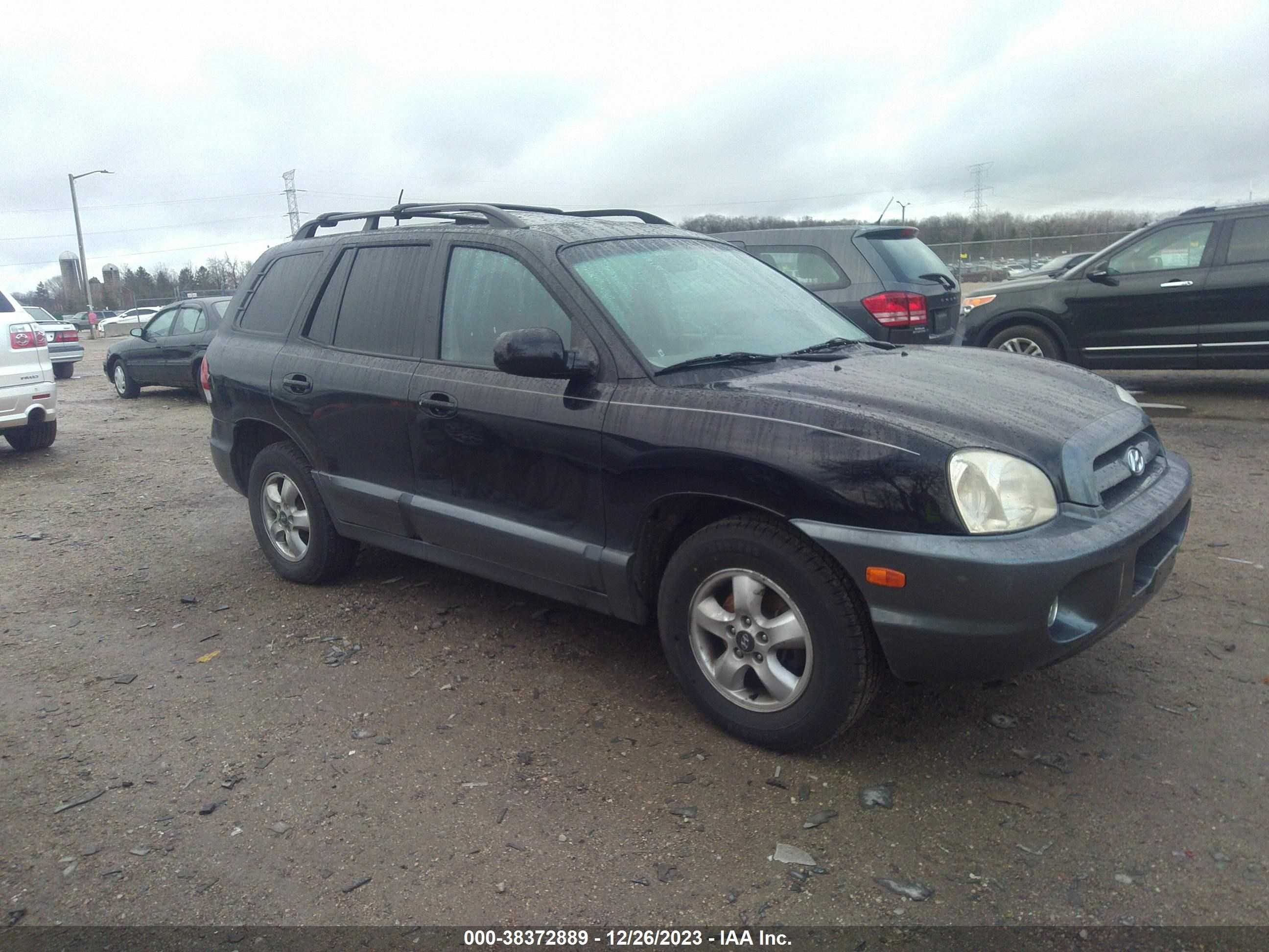 HYUNDAI SANTA FE 2005 km8sc73e75u868590