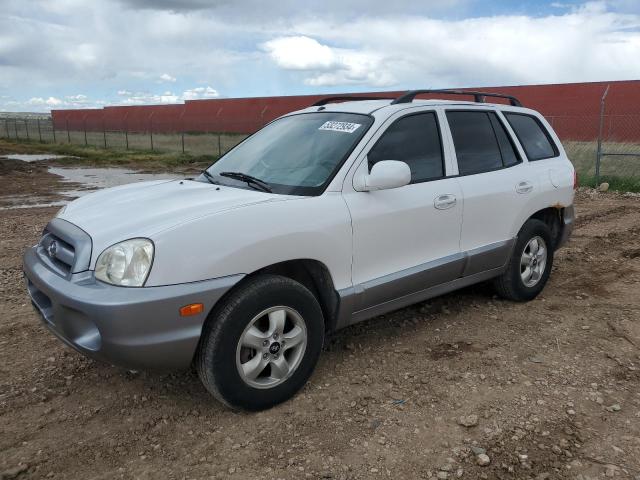 HYUNDAI SANTA FE 2005 km8sc73e75u915780