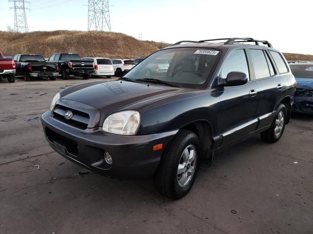 HYUNDAI SANTA FE 2006 km8sc73e76u108502