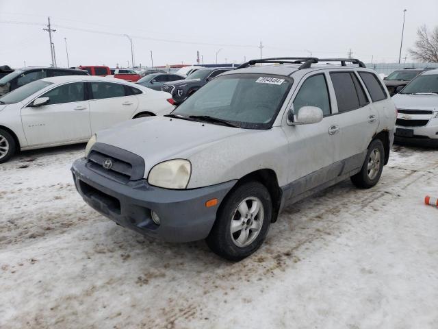 HYUNDAI SANTA FE 2005 km8sc73e85u002185