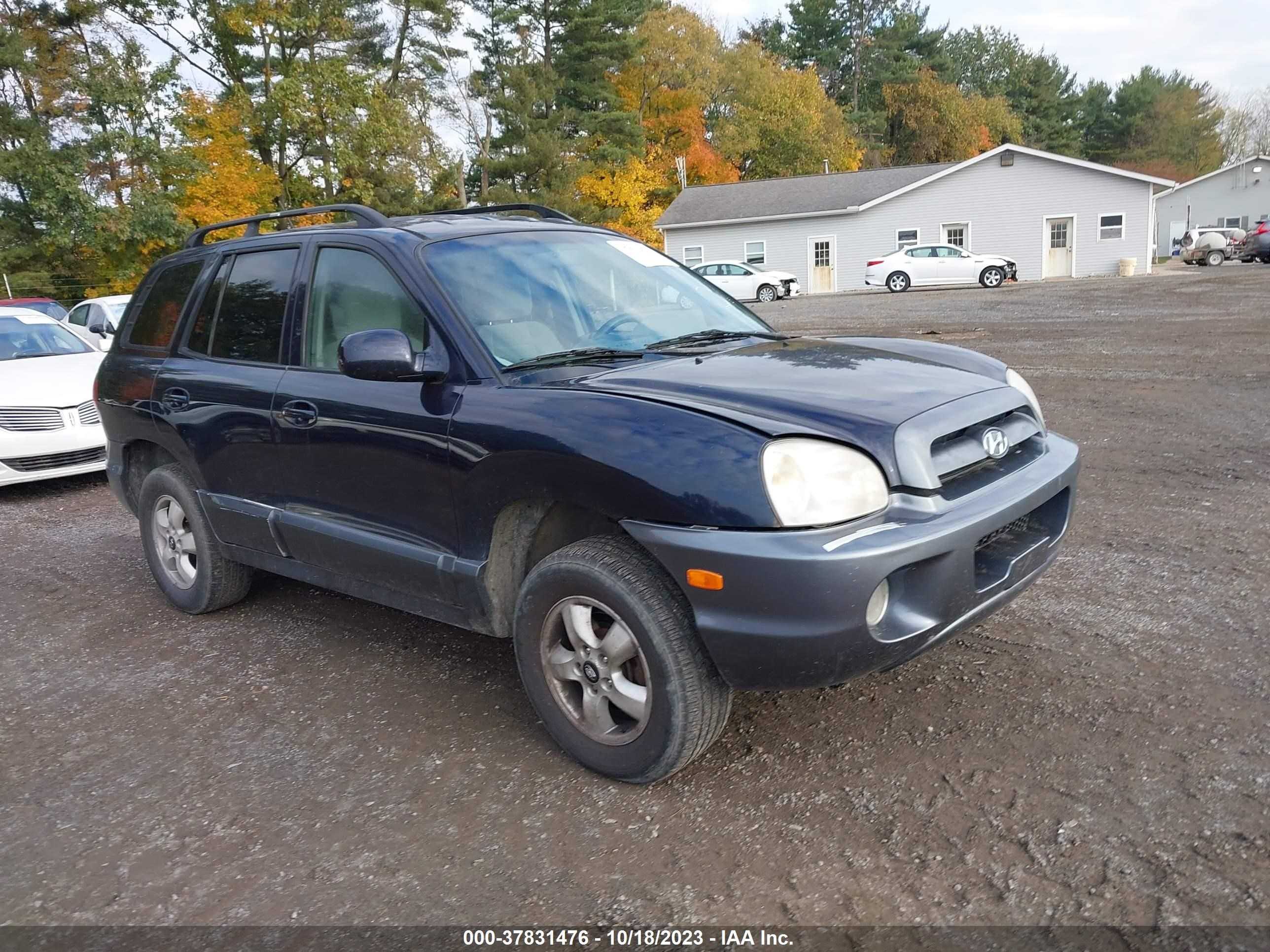 HYUNDAI SANTA FE 2005 km8sc73e85u030097