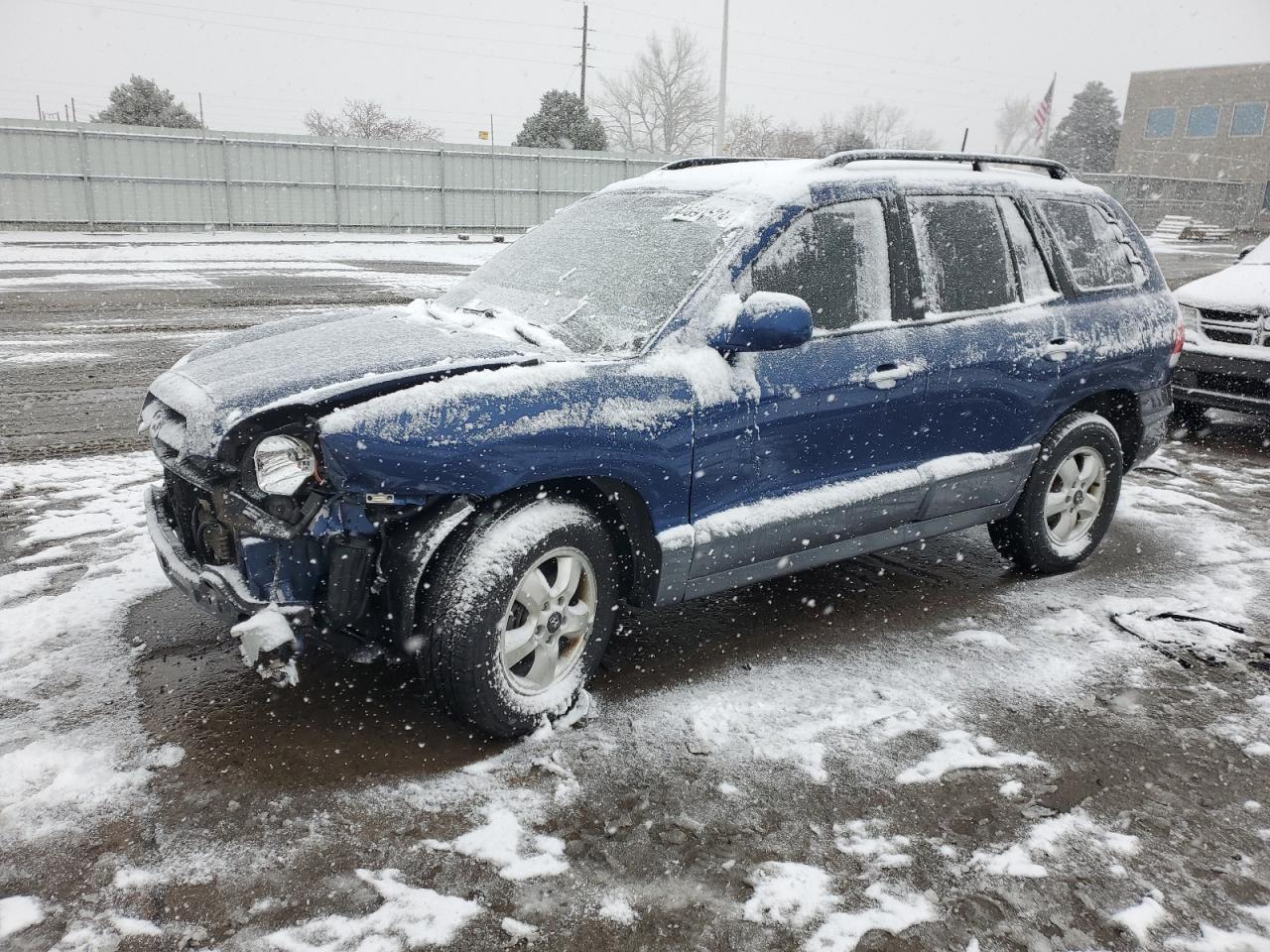 HYUNDAI SANTA FE 2006 km8sc73e86u089278