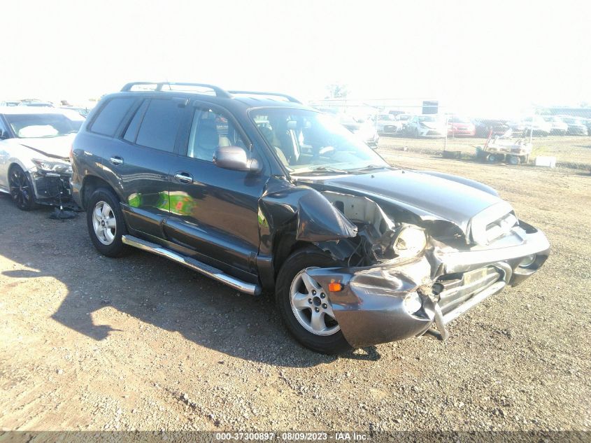 HYUNDAI SANTA FE 2006 km8sc73e86u110274