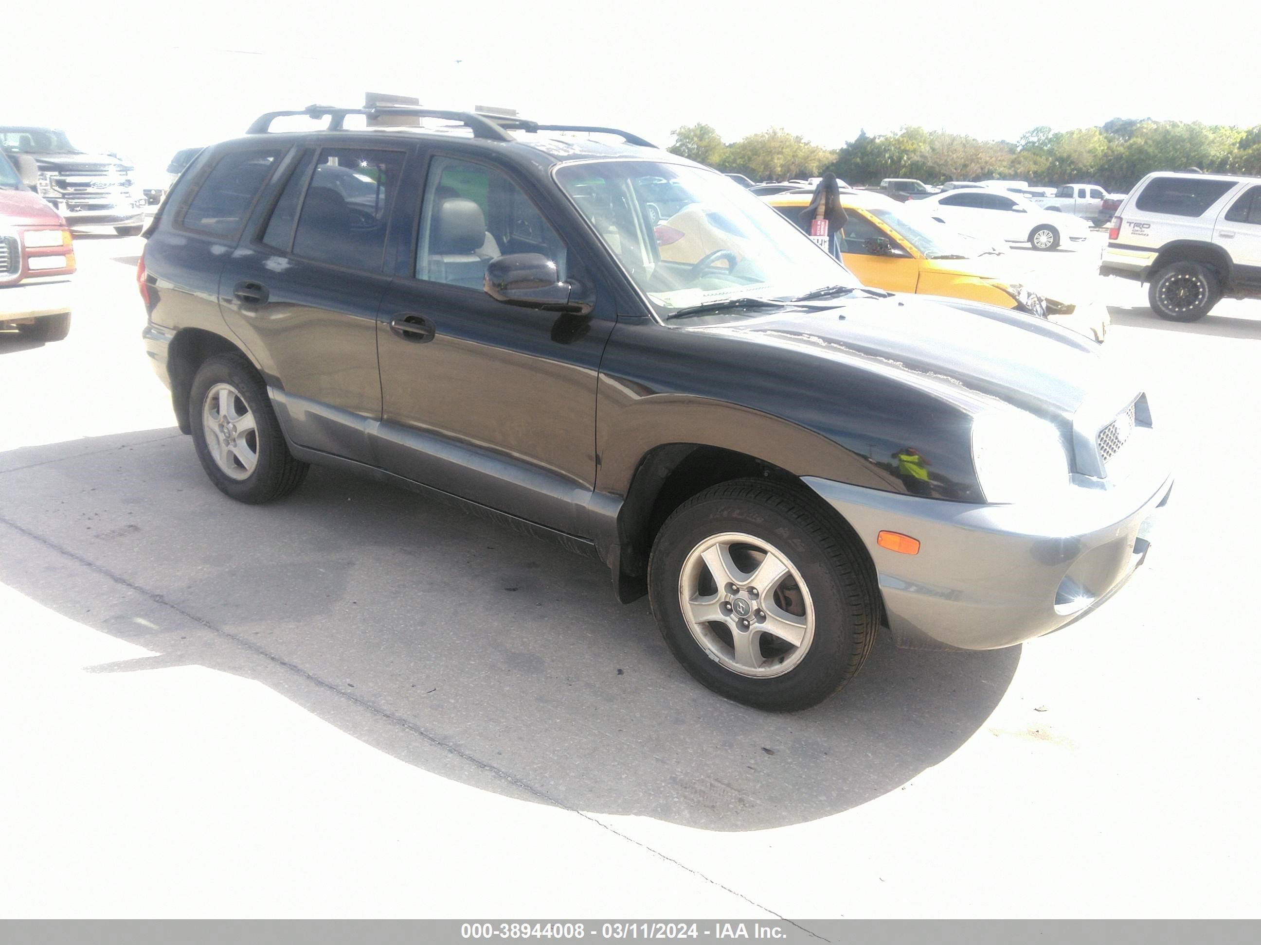 HYUNDAI SANTA FE 2004 km8sc73e94u679731