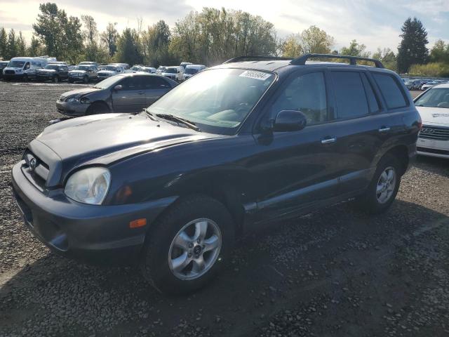 HYUNDAI SANTA FE G 2005 km8sc73e95u936274