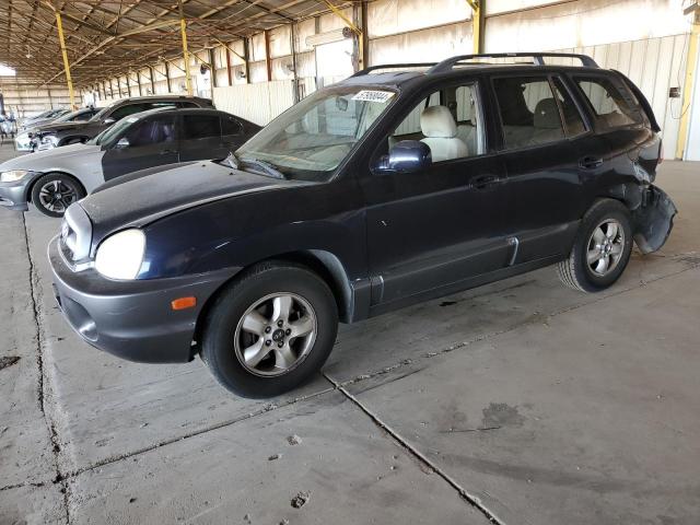 HYUNDAI SANTA FE 2005 km8sc73e95u963331