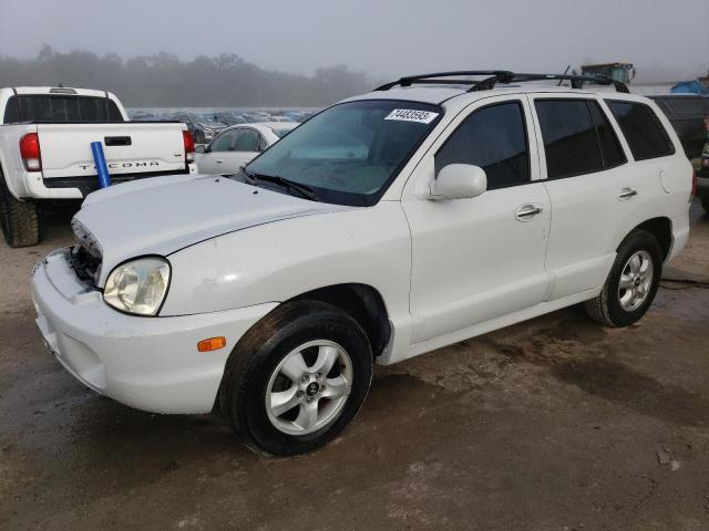 HYUNDAI SANTA FE 2005 km8sc73ex5u874223