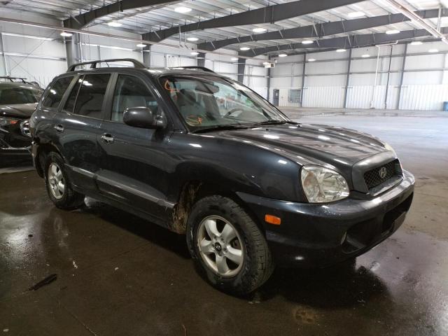 HYUNDAI SANTA FE G 2006 km8sc73ex6u099875